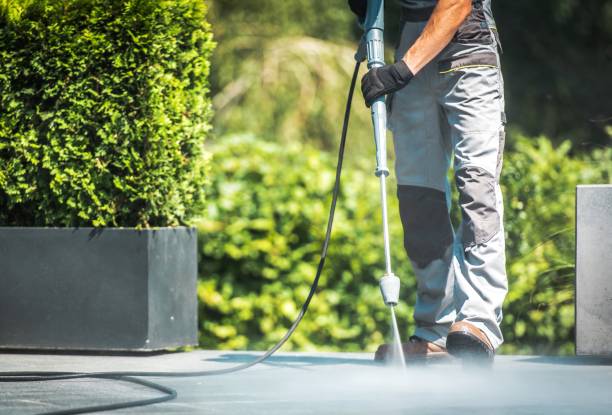 Best Warehouse Cleaning  in Forestville, OH
